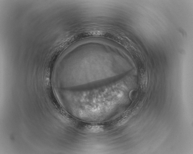 X0000115450553200911251309