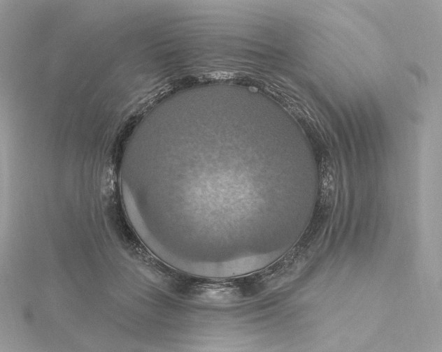 X0000115450555200911251309