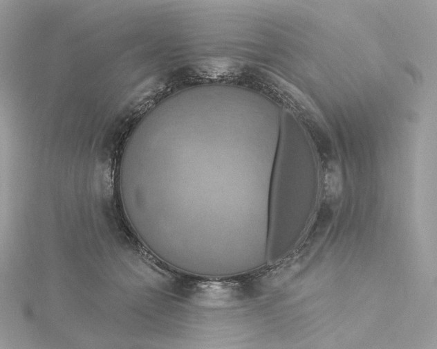 X0000115450558200911251309