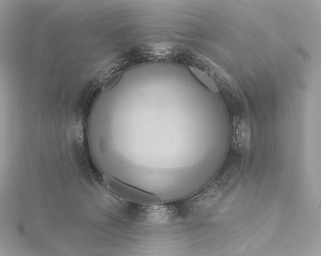 X0000115450562200911251309