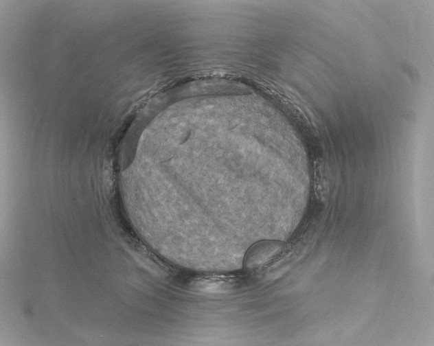 X0000115450563200911251309