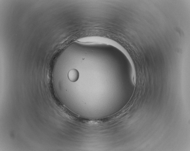 X0000115450566200911251309