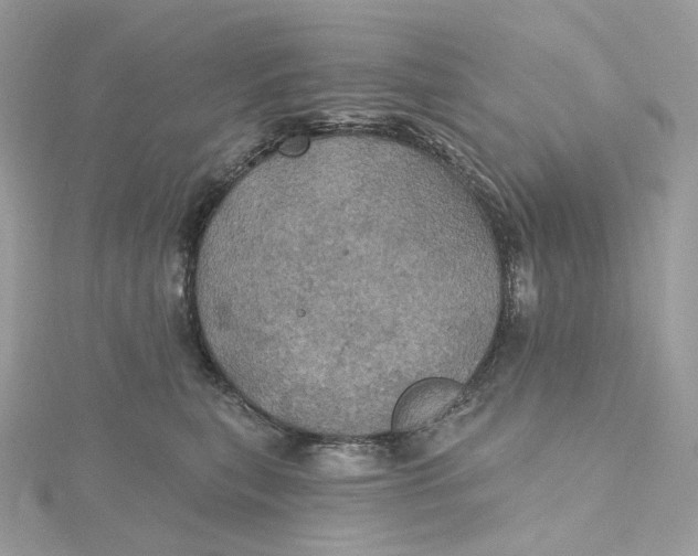 X0000115450567200911251309