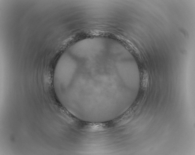 X0000115450569200911251309