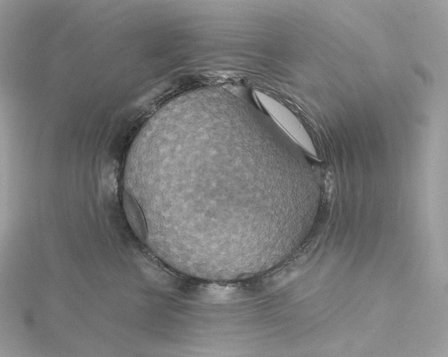 X0000115450570200911251309