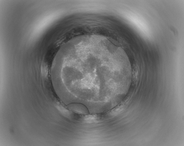 X0000115450574200911251309