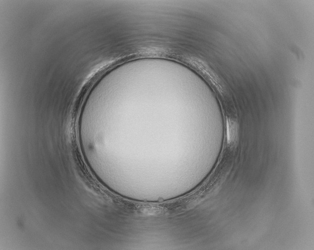 X0000115450579200911251309