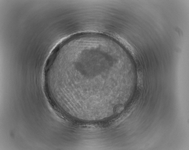 X0000115450580200911251309