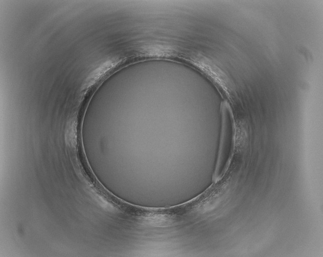 X0000115450581200911251309