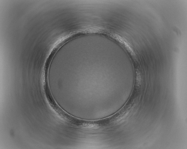 X0000115450582200911251309