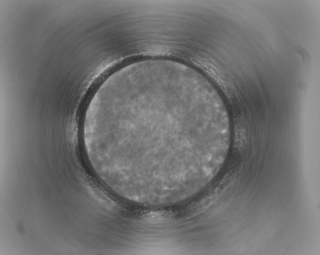 X0000115450584200911251309