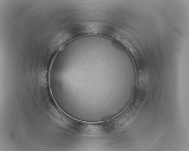 X0000115450585200911251309