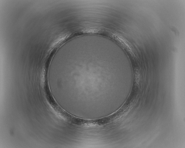 X0000115450586200911251309