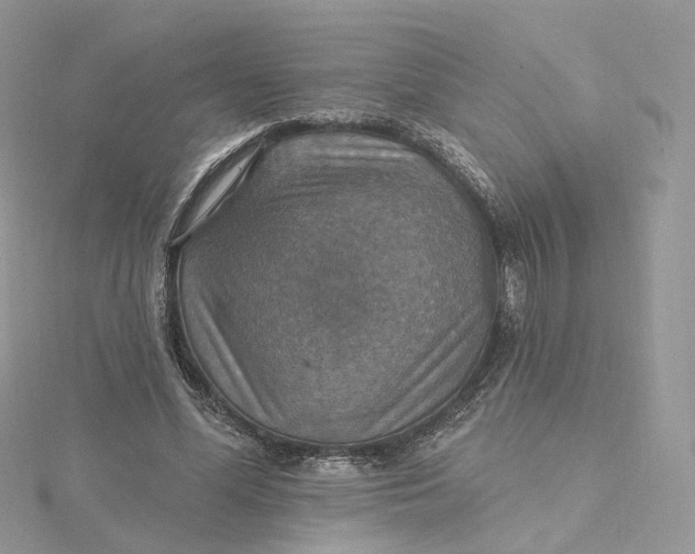 X0000115450588200911251309