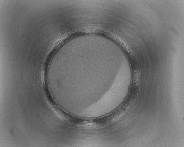 X0000115450589200911251309