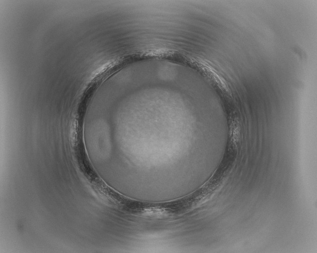 X0000115450591200911251309