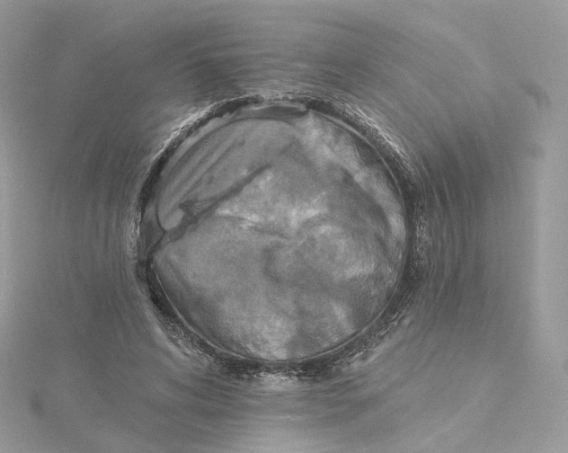 X0000115450592200911251309