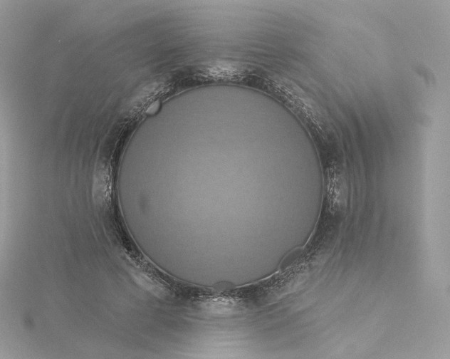 X0000115450593200911251309