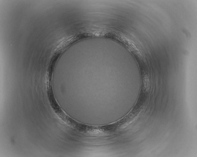 X0000115450594200911251309