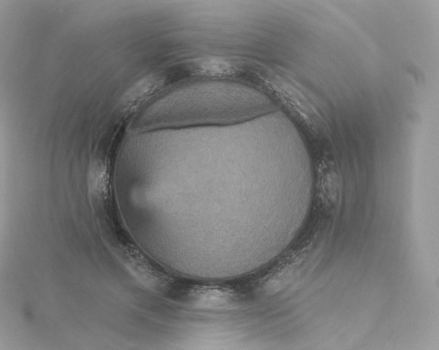 X0000115450597200911251308