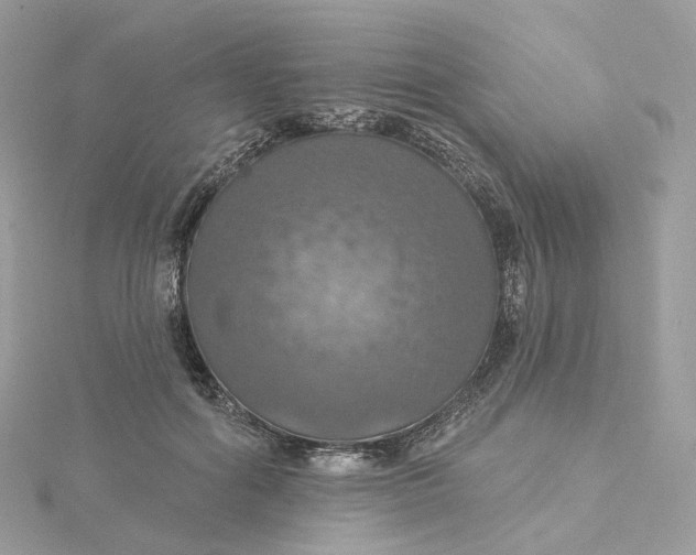 X0000115450602200911251308