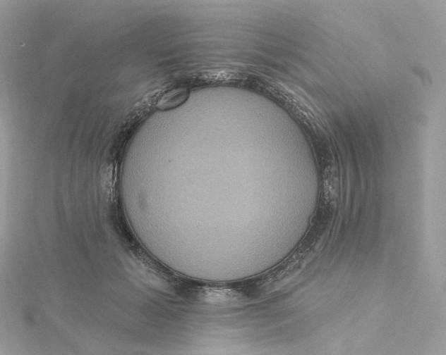 X0000115450605200911251308