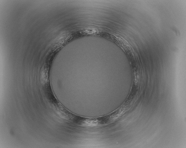 X0000115450606200911251308