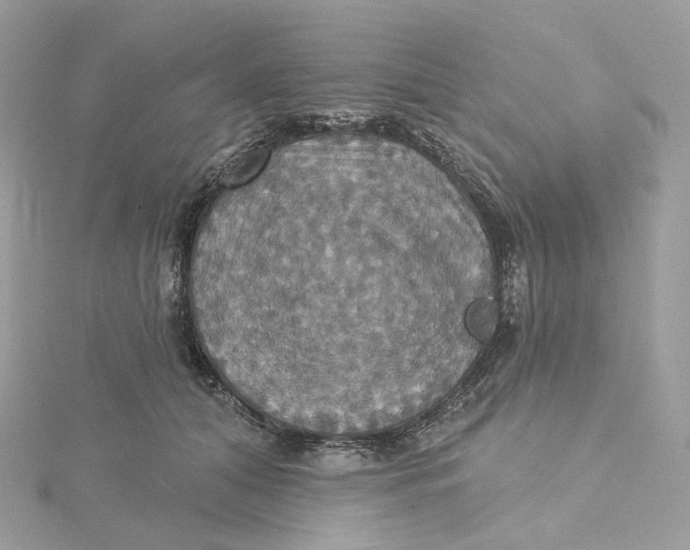 X0000115450608200911251308