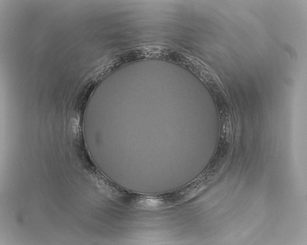 X0000115450610200911251308