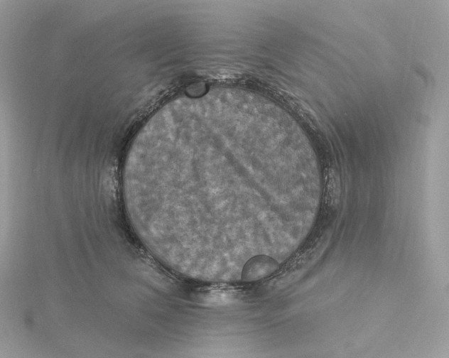 X0000115450612200911251308