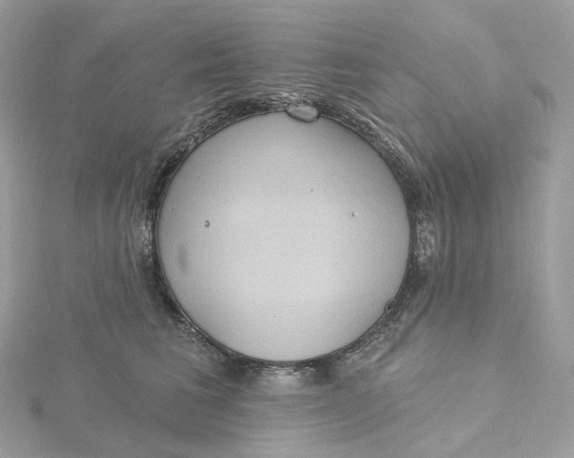 X0000115450613200911251308