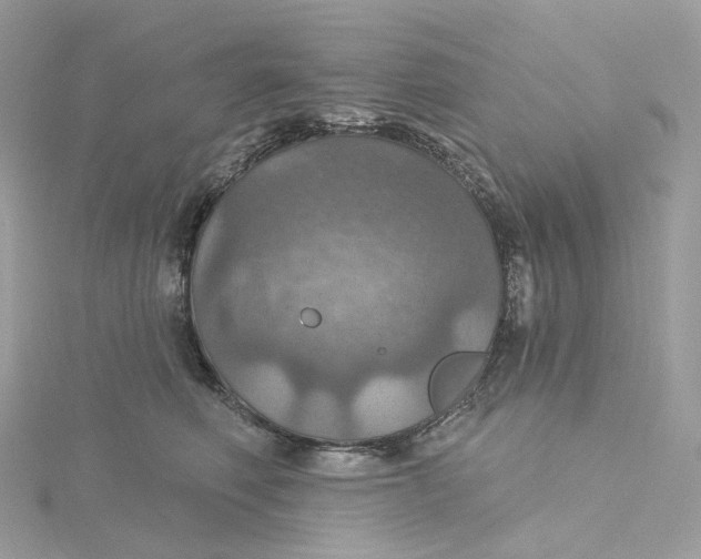 X0000115450614200911251308