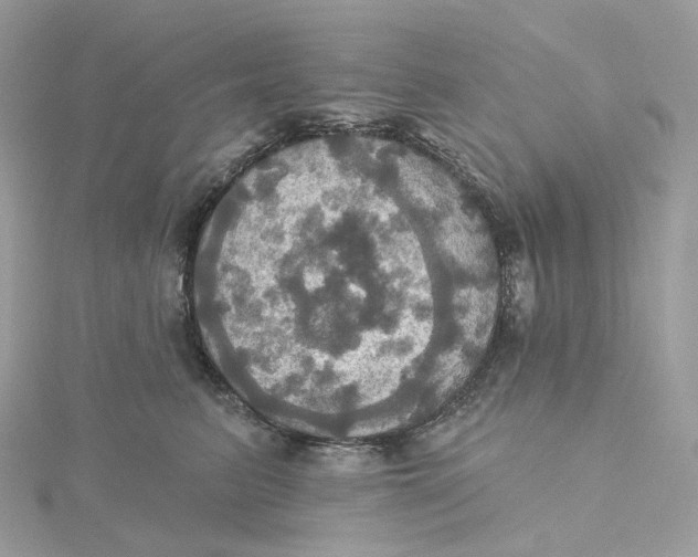 X0000115450615200911251308