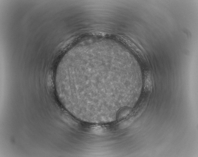 X0000115450616200911251308