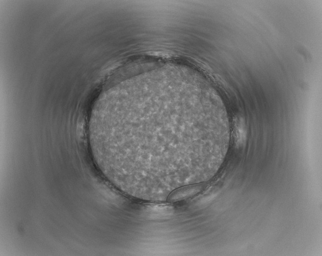 X0000115450619200911251308