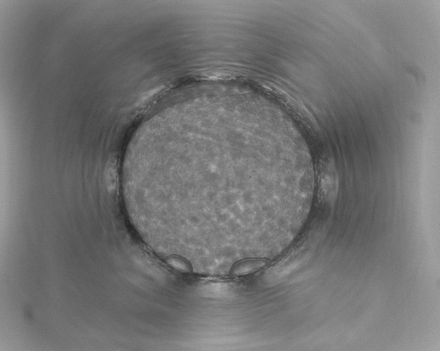 X0000115450620200911251308