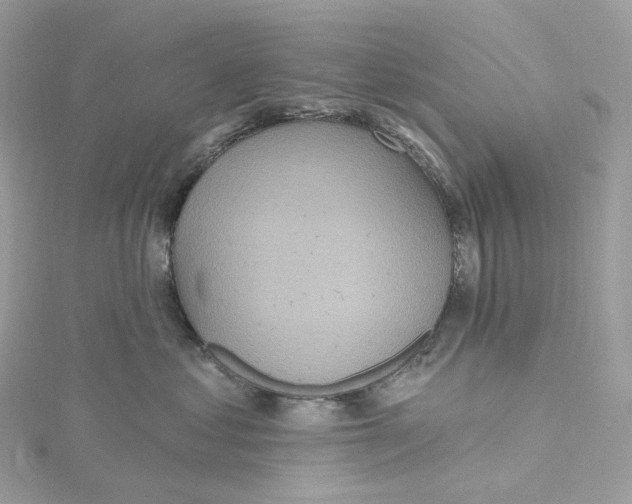 X0000115450621200911251308