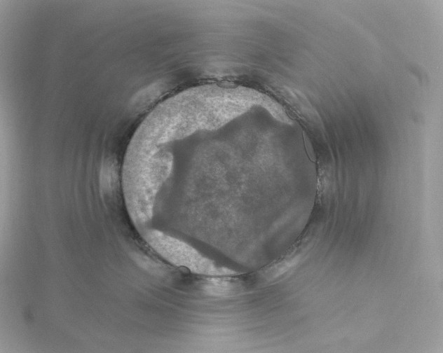 X0000115450623200911251308