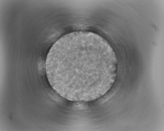 X0000115450624200911251308