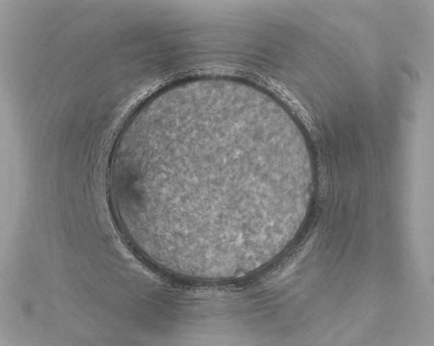 X0000115450625200911251307