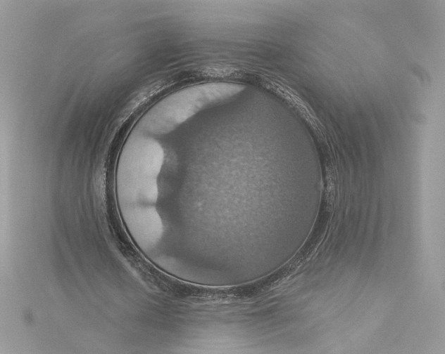 X0000115450626200911251307