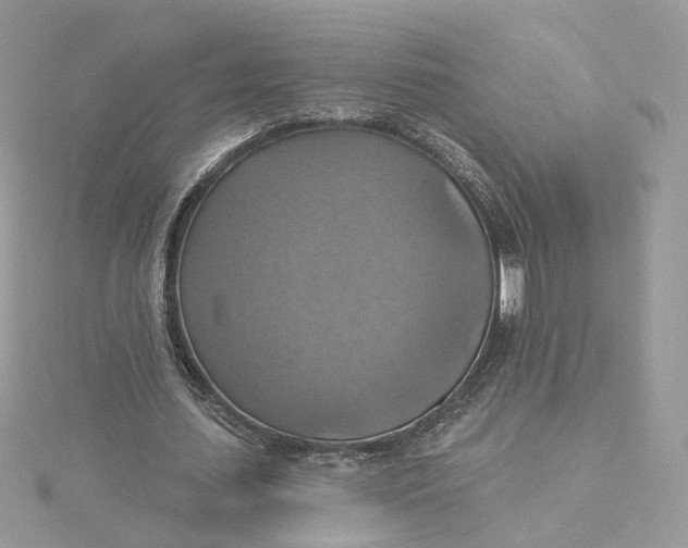 X0000115450627200911251307