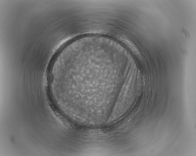 X0000115450628200911251307