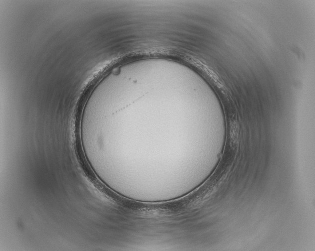 X0000115450629200911251307