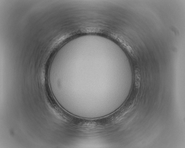 X0000115450631200911251308