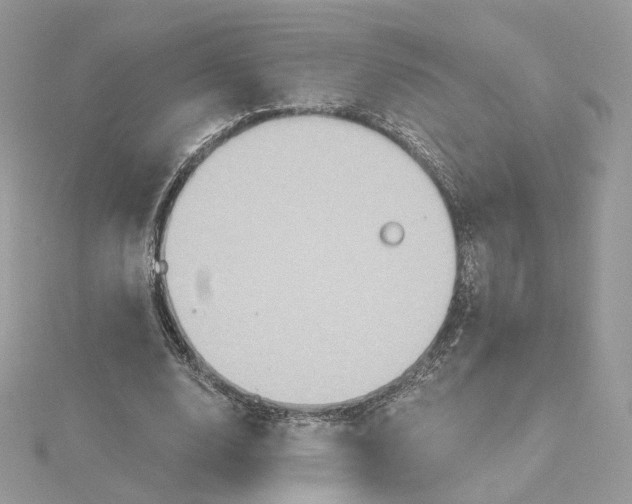 X0000115450632200911251308