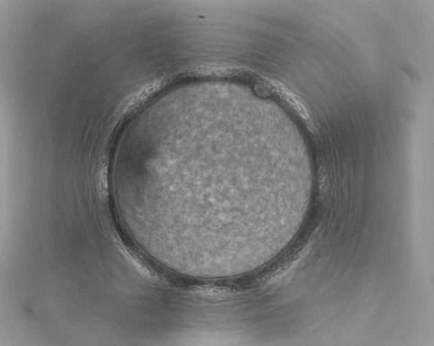 X0000115450633200911251308