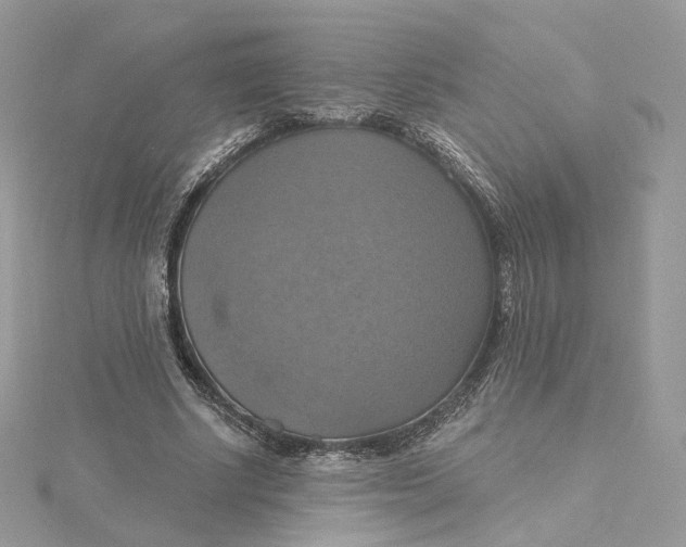 X0000115450634200911251308