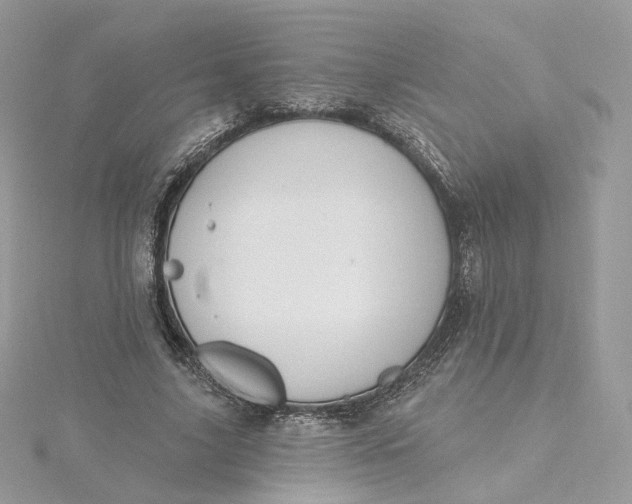 X0000115450635200911251308