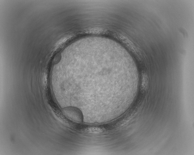 X0000115450636200911251308